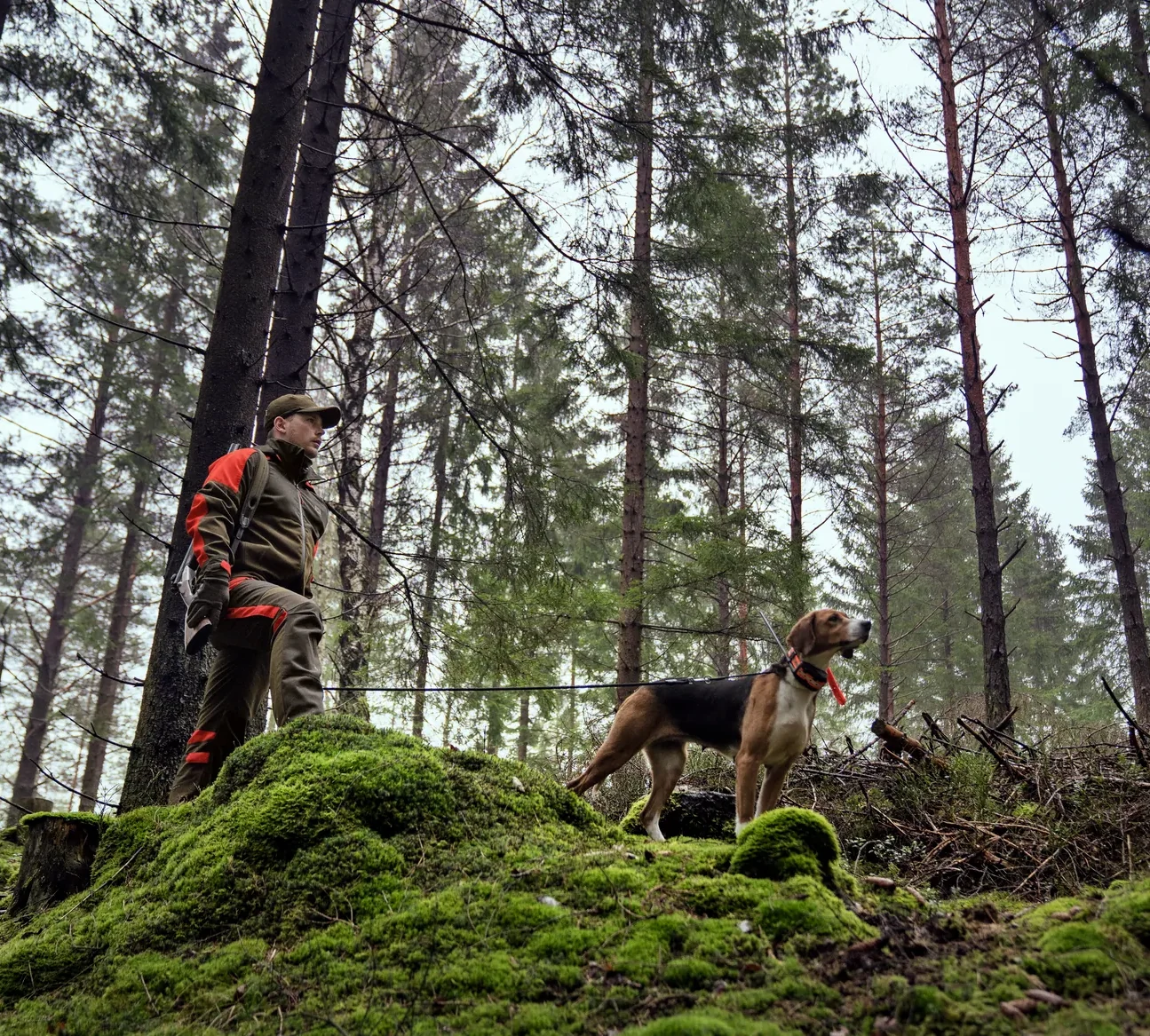 Hundförare i synlig orange Härkila Pro Hunter Dog Keeper jacka under höstjakt