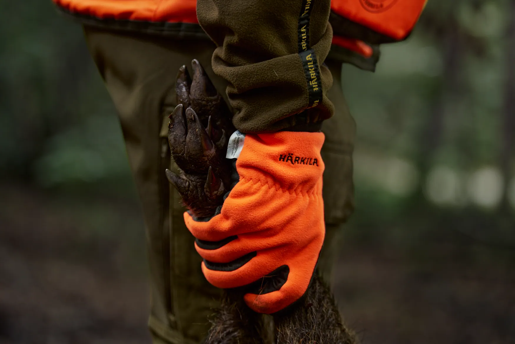 Härkila Wildboar Pro Shooter Blaze WSP Gloves i blaze-orange jaktmiljö