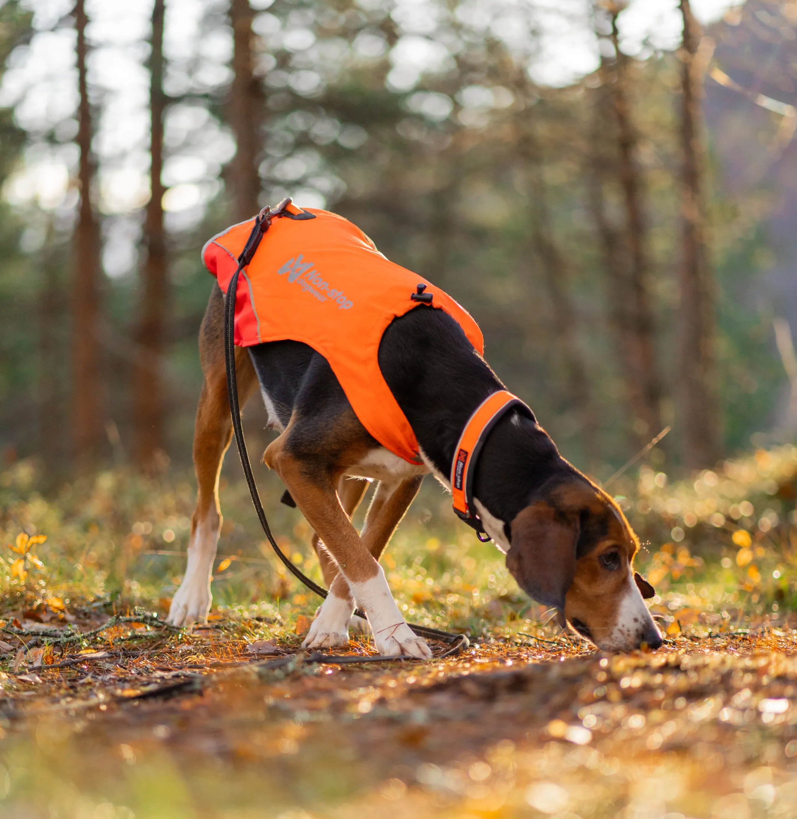 Non-stop Dogwear Protector Cover 2.0 Orange – synlighetsväst för jakthund