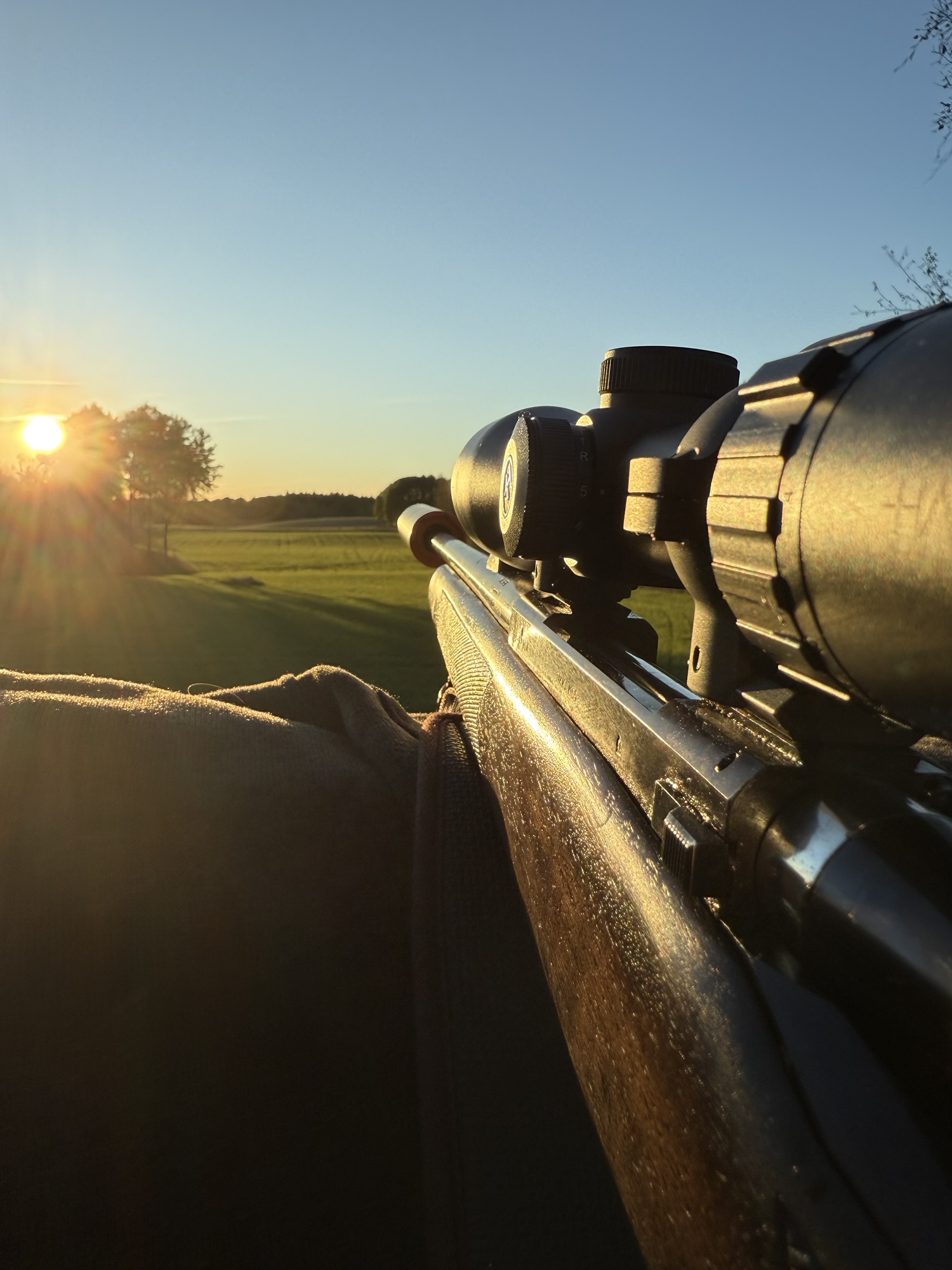 Vakjakt – komplett guide för säker och effektiv jakt 2026