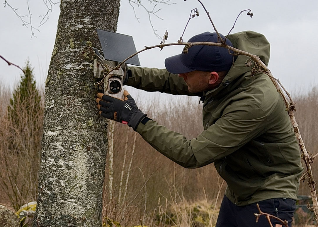 Myr Tjuonavagge friluftshandskar används vid montering av åtelkamera på träd under jakt och viltövervakning.