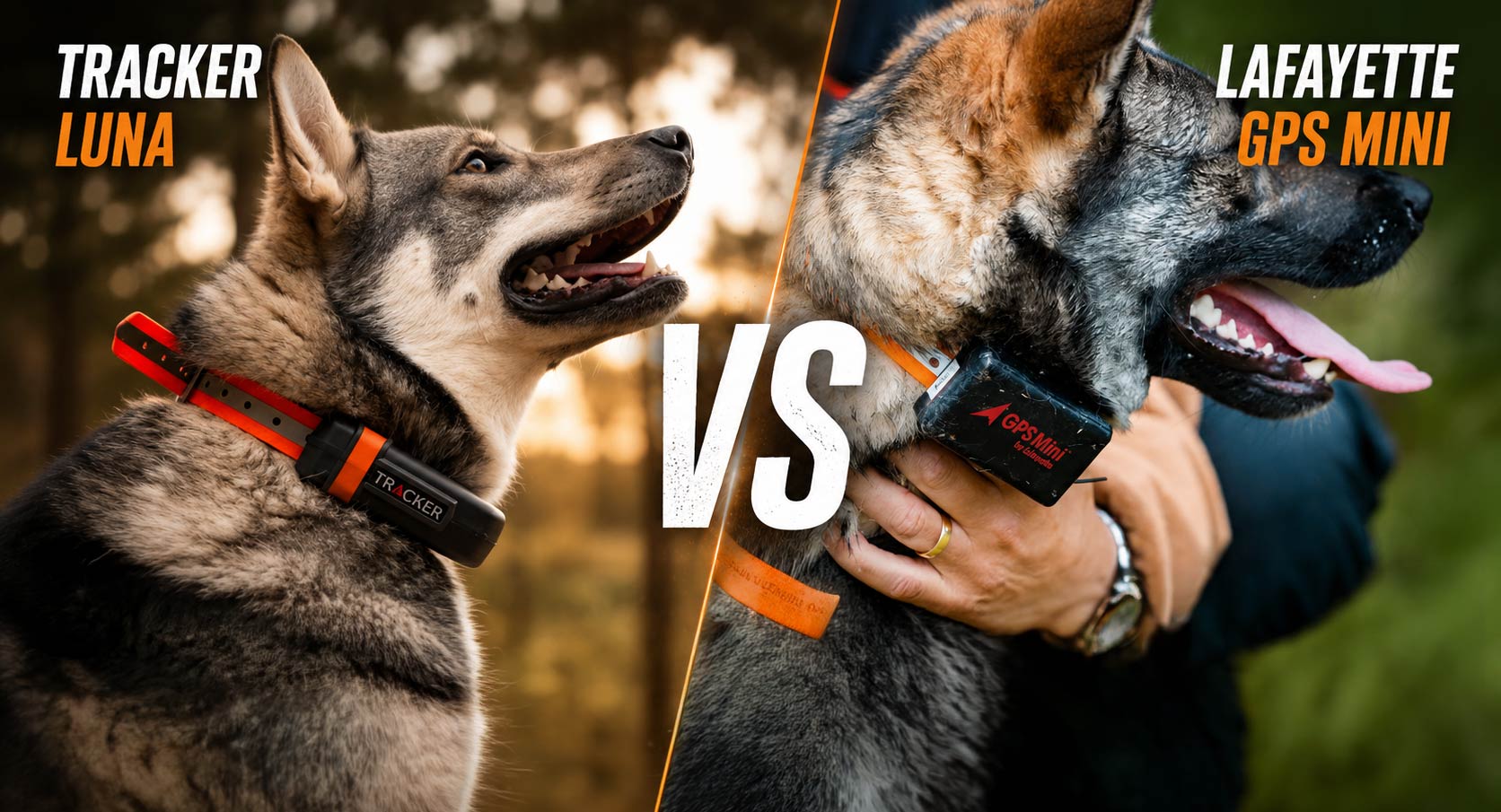 Tracker Luna vs Lafayette GPS Mini – vilken ska du välja?